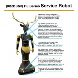 Service Robot (Black Deer) HL Series - Image 2